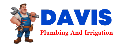 Trusted plumber in DOSS